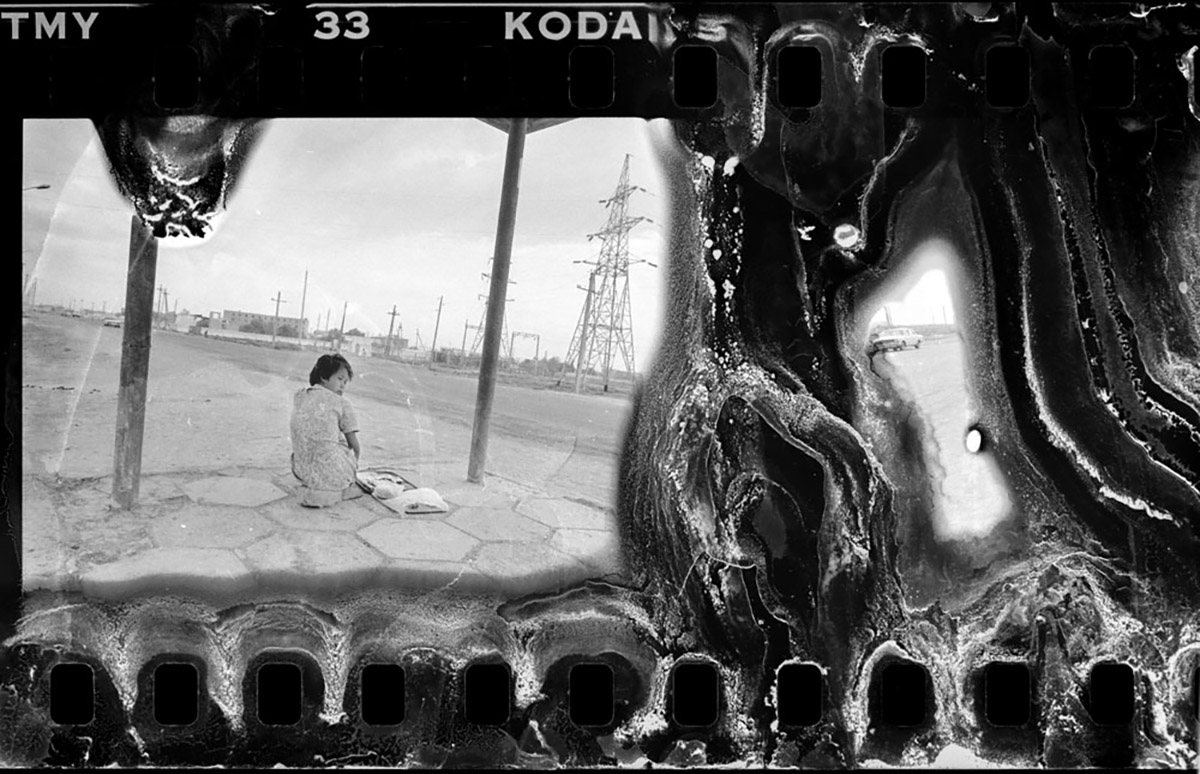Ephemeral Elegance: Degeneration and Regeneration in Photography and Drawing