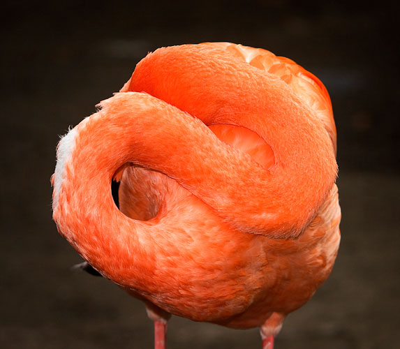 Esko M&auml;nnikk&ouml;, Untitled 2006, Harmony Sisters series, c-print