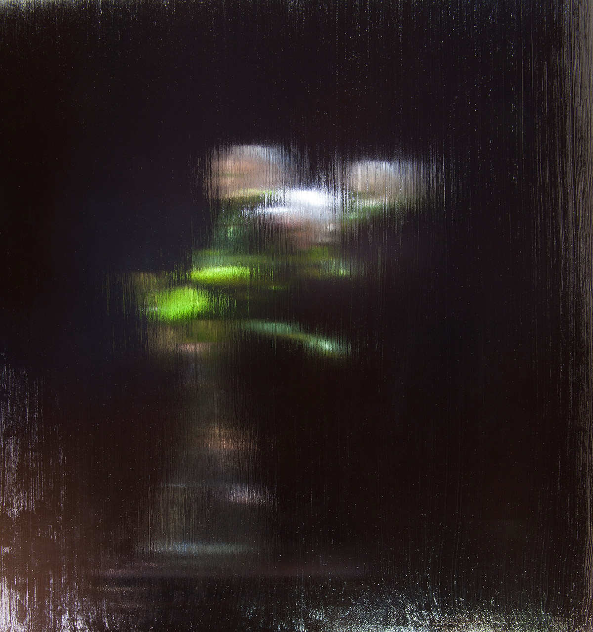 Lynne Leegte, Roses, 2018, 65x60cm