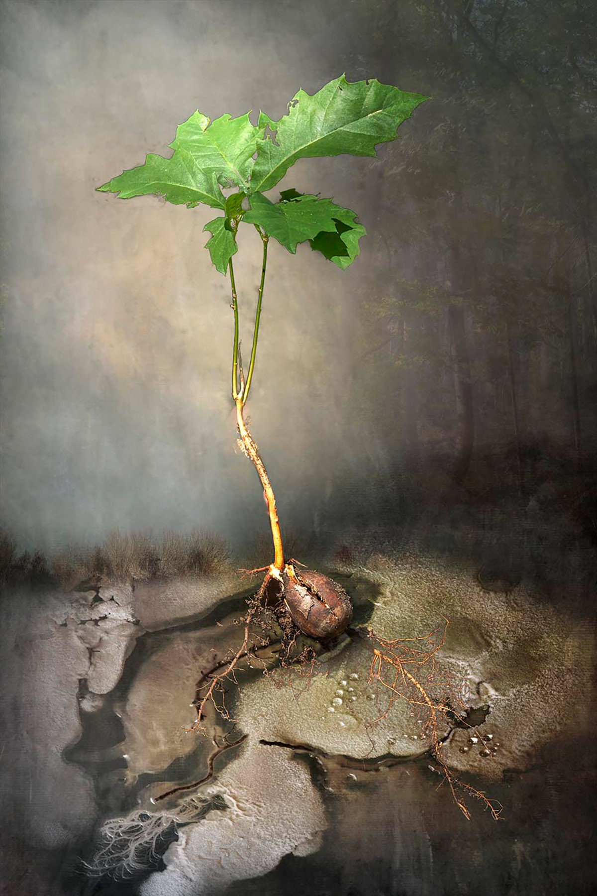 Fotografencollectief Untitled