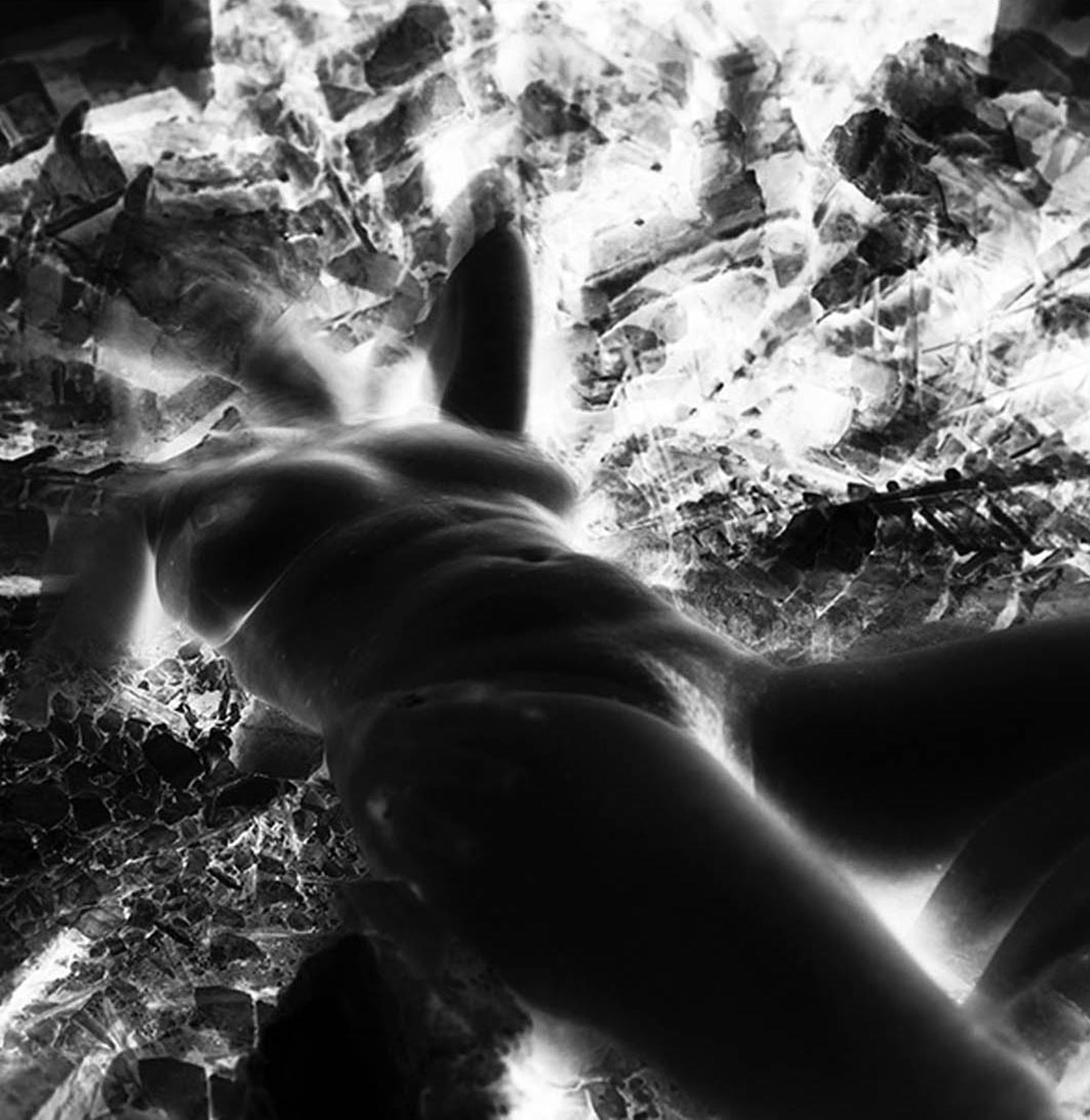 Gesina de Wit, Bardo