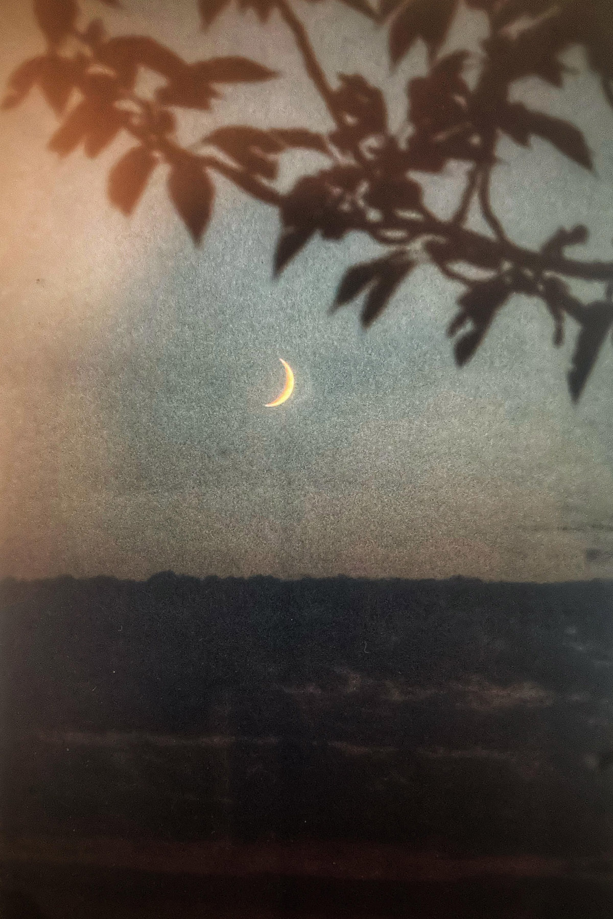 Marielle van de Wiel, Moonlight serenade