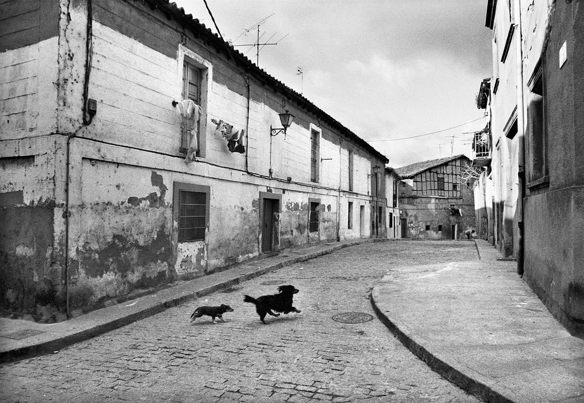 Flip Franssen, Carniceros, 1988