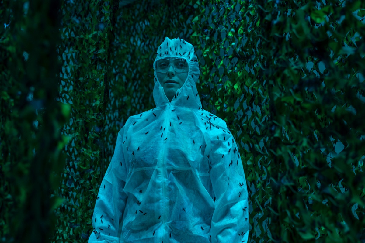 Umberto Diecinove, Inside the Black Soldier Fly adults room, beeld uit: I N S C T S, Italië, 2023