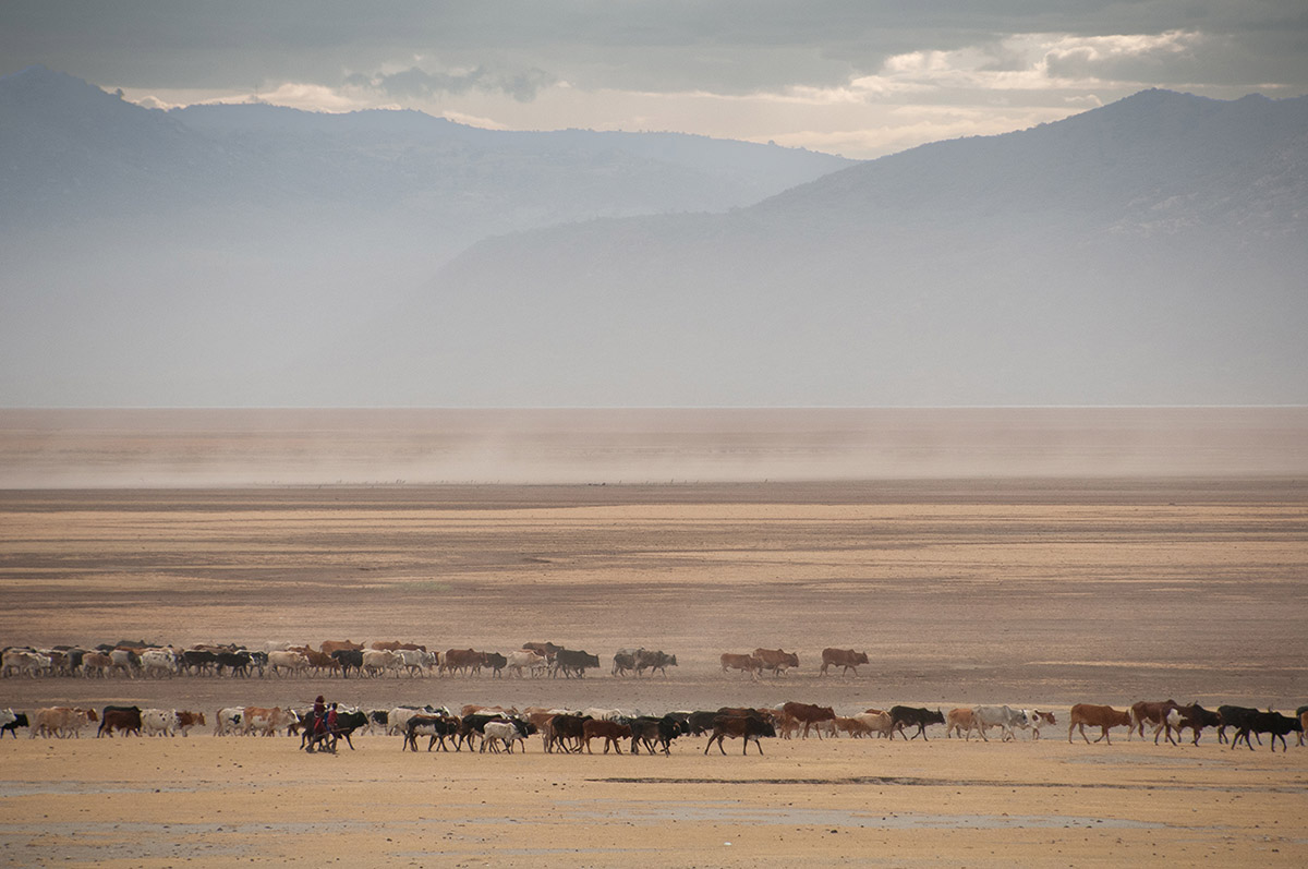 Gert Wielink, foto van Massai trekkende door (een droog) Lake Manyara, Tanzania