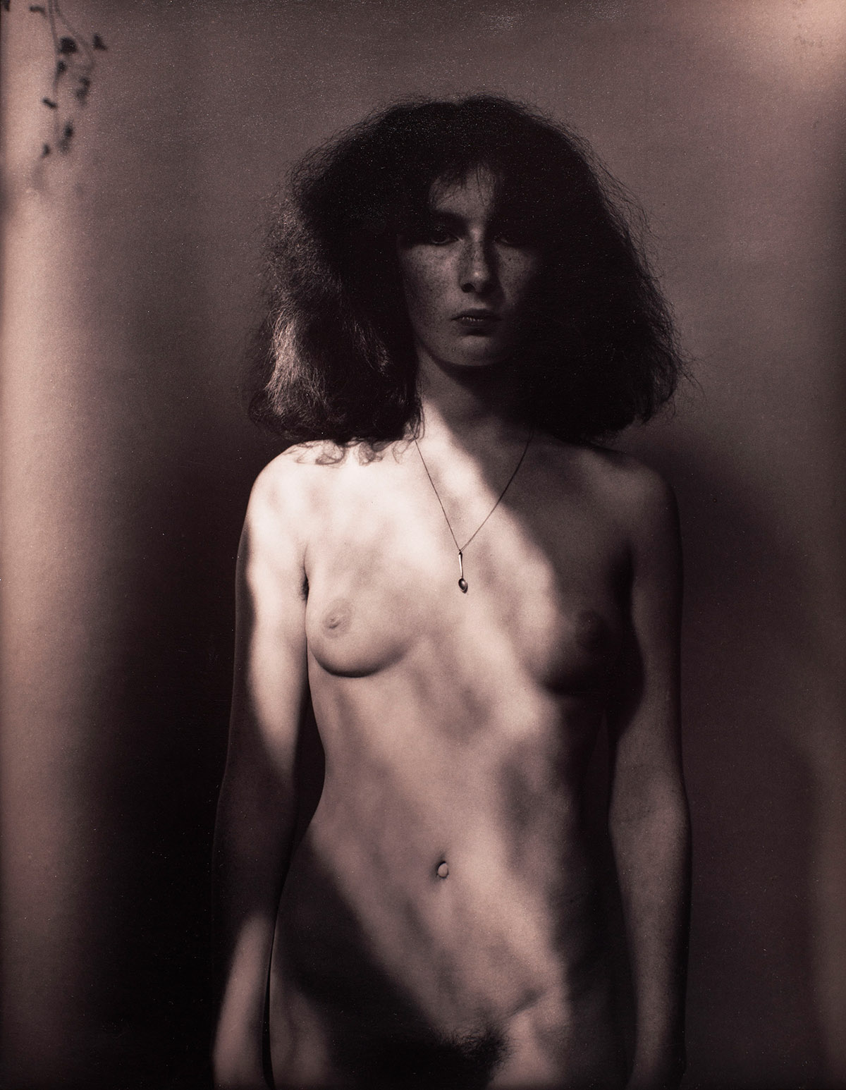 Frederick Linck, Sepia modelstudie