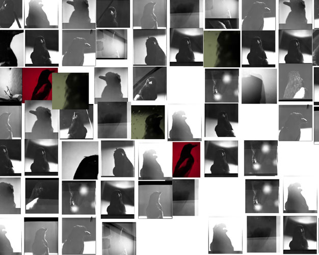 Monika Nooren