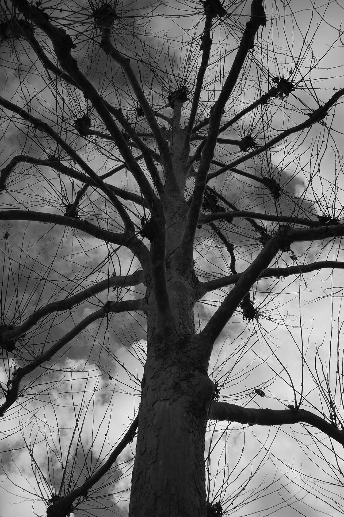 Limburgse vrienden van de Pop-Up-Galerie Nobelstraat exposeren in de Nieuwe Galerij.