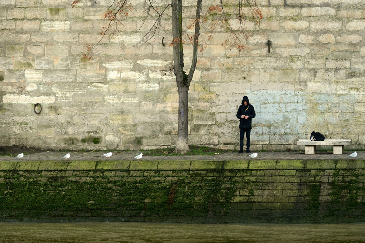 Minke Groenewoud, Le long de la seine