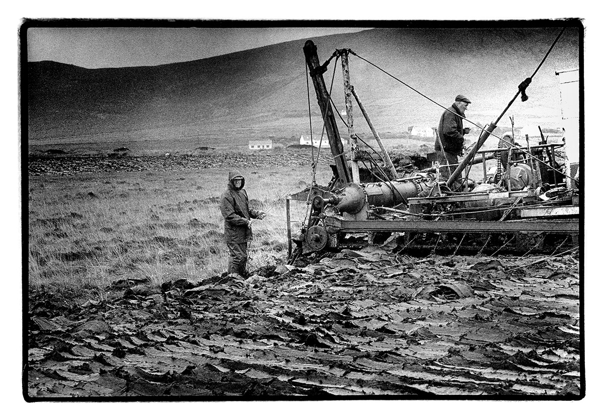 Piet den Blanken, Tralee (Ierland)