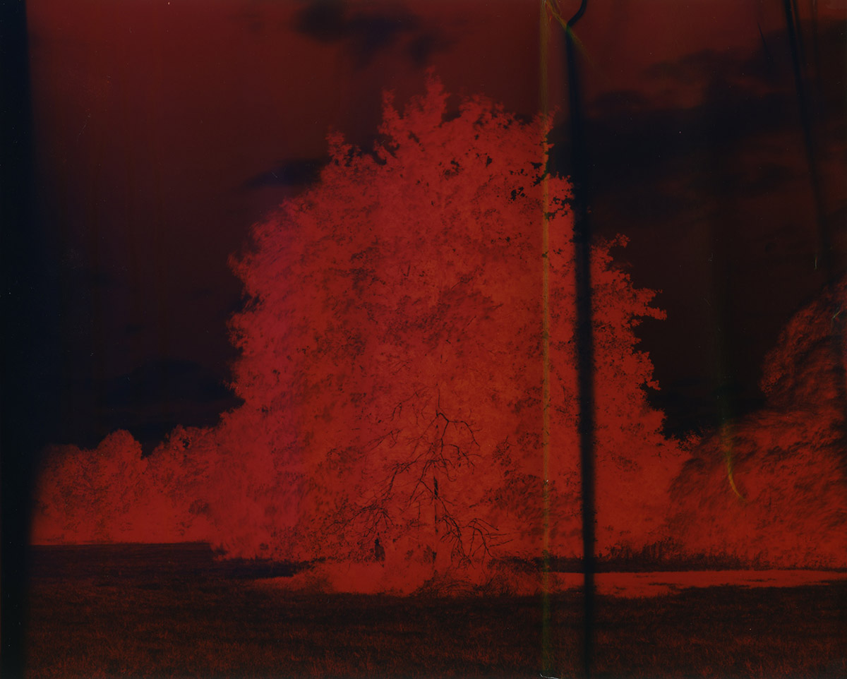 Téo Becher & Solal Israel, series Les Fulgurés, 2020