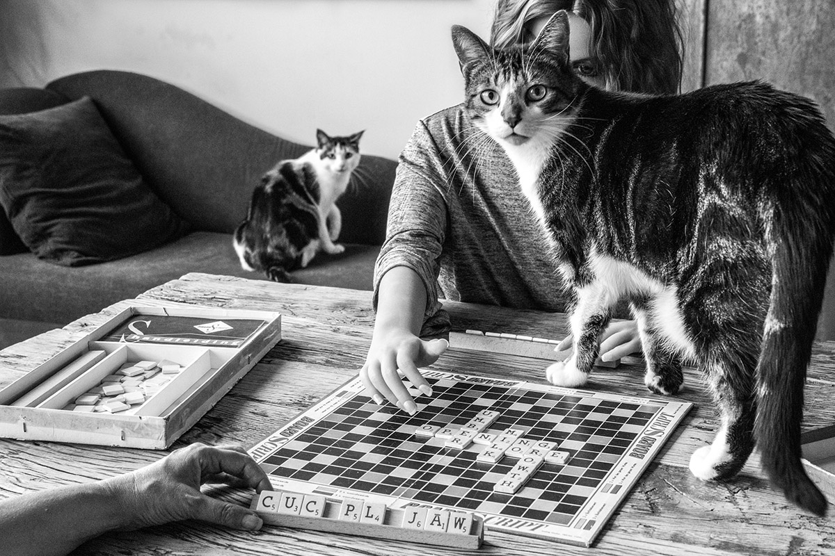 Hanneke Wetzer, Living Alone (Together)