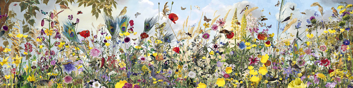 Hans Withoos, Summer meadow