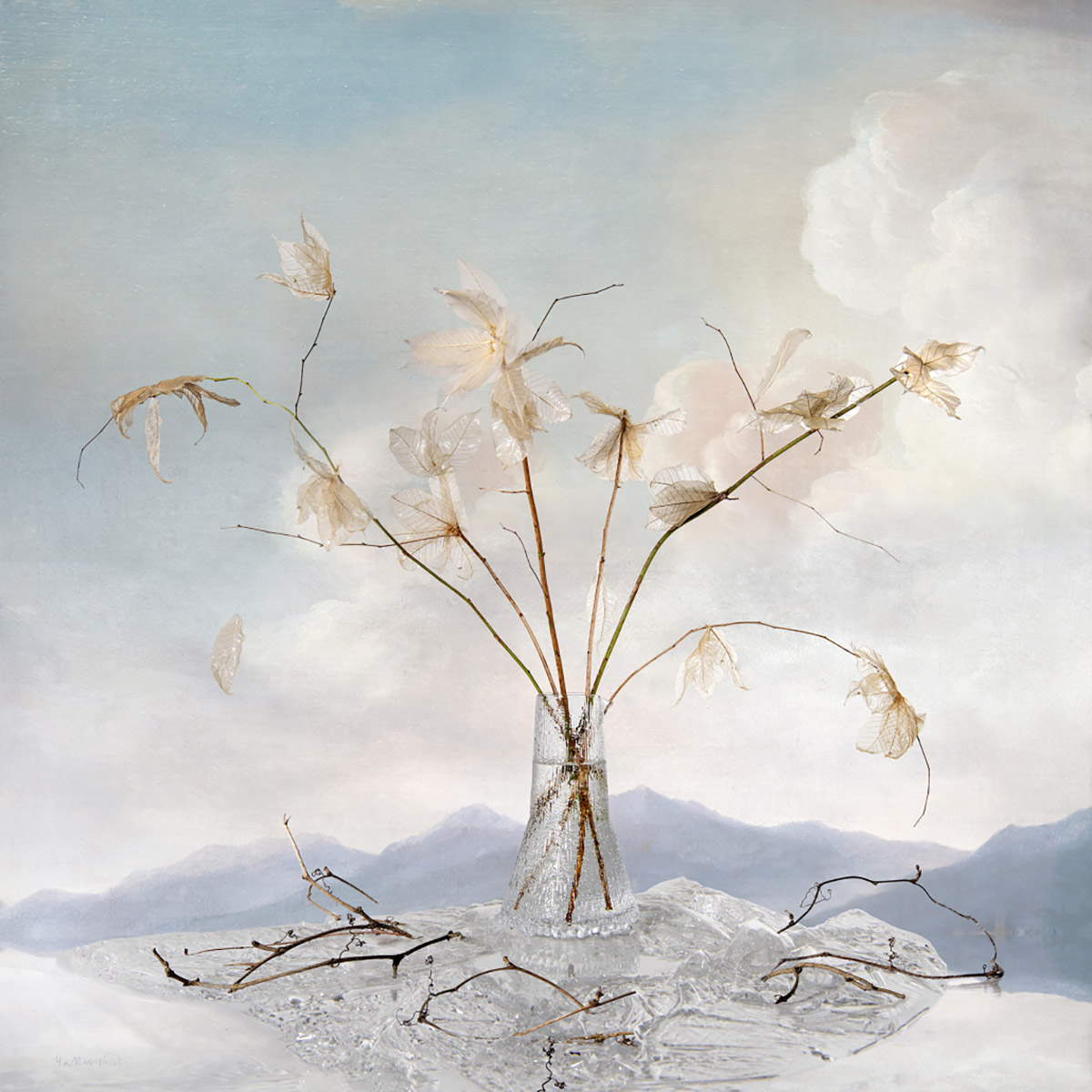 Hans Withoos, Vulnerable Nature