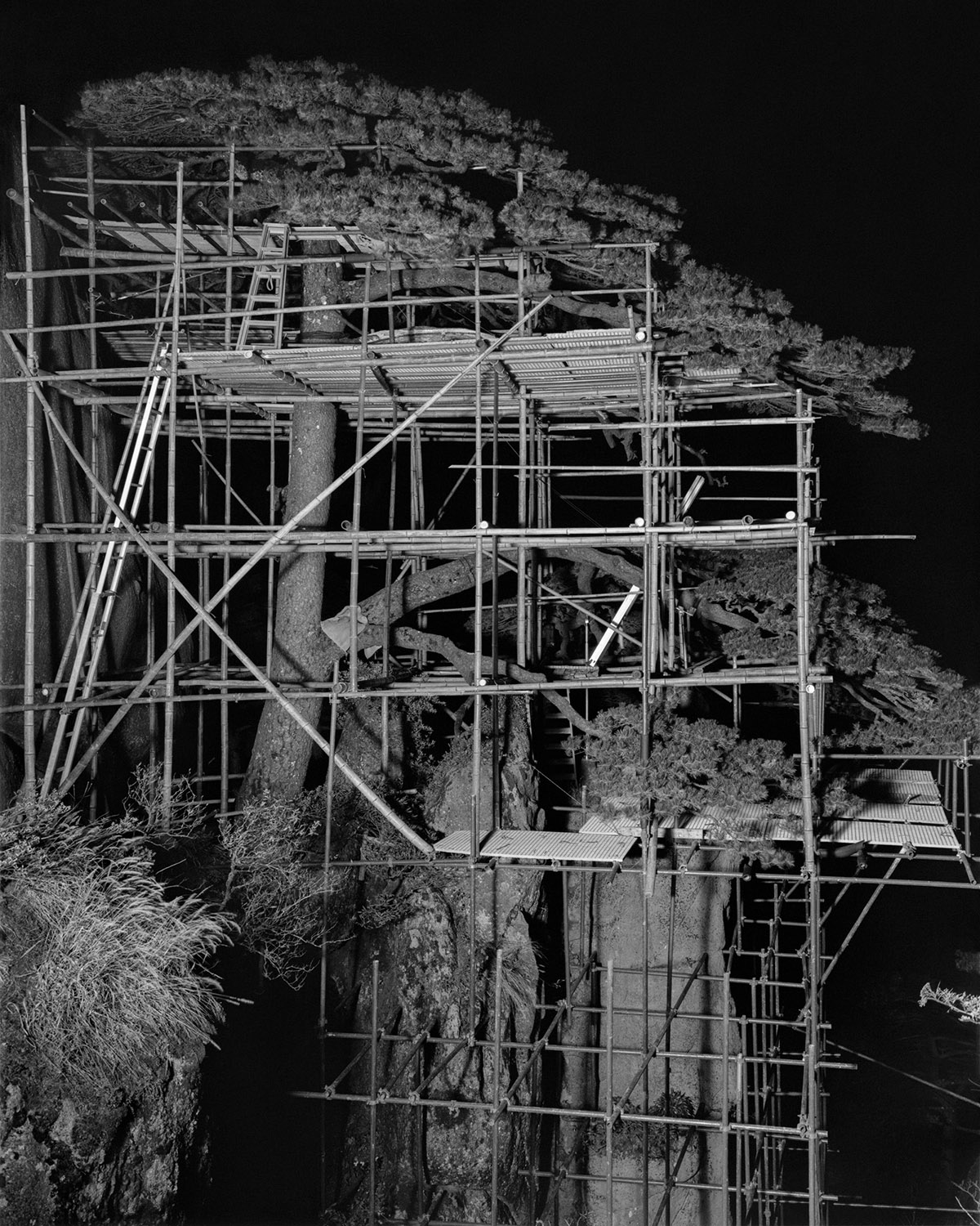 De voorloper van Pennings Foundation, Galerie Pennings, heeft de prijs in 2007 in het leven geroepen ter nagedachtenis aan de grondlegger van de galerie.