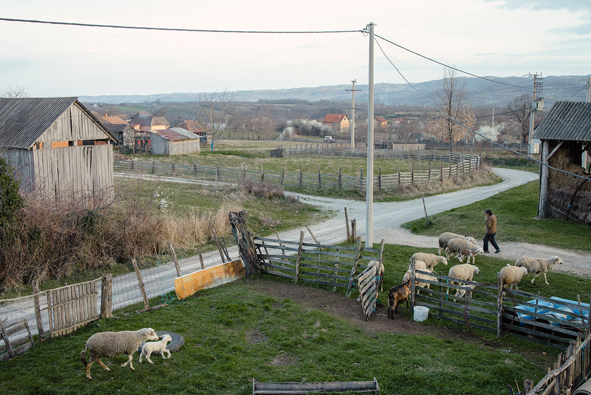 Eveline van Hamond, What they left