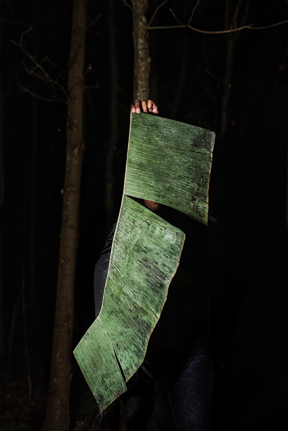 Michelle Piergoelam, The Untangled Tales