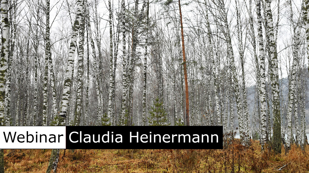 Webinar: Claudia Heinermann