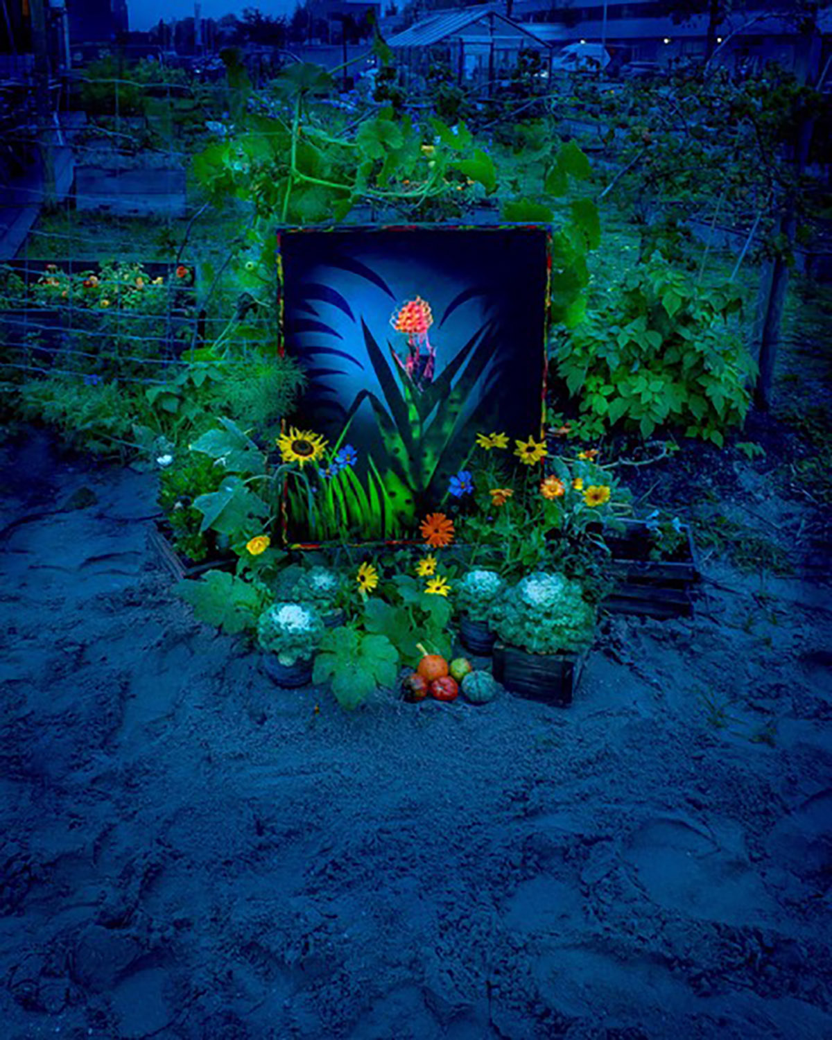 Jan van der Horn, Het Lichtjuweel