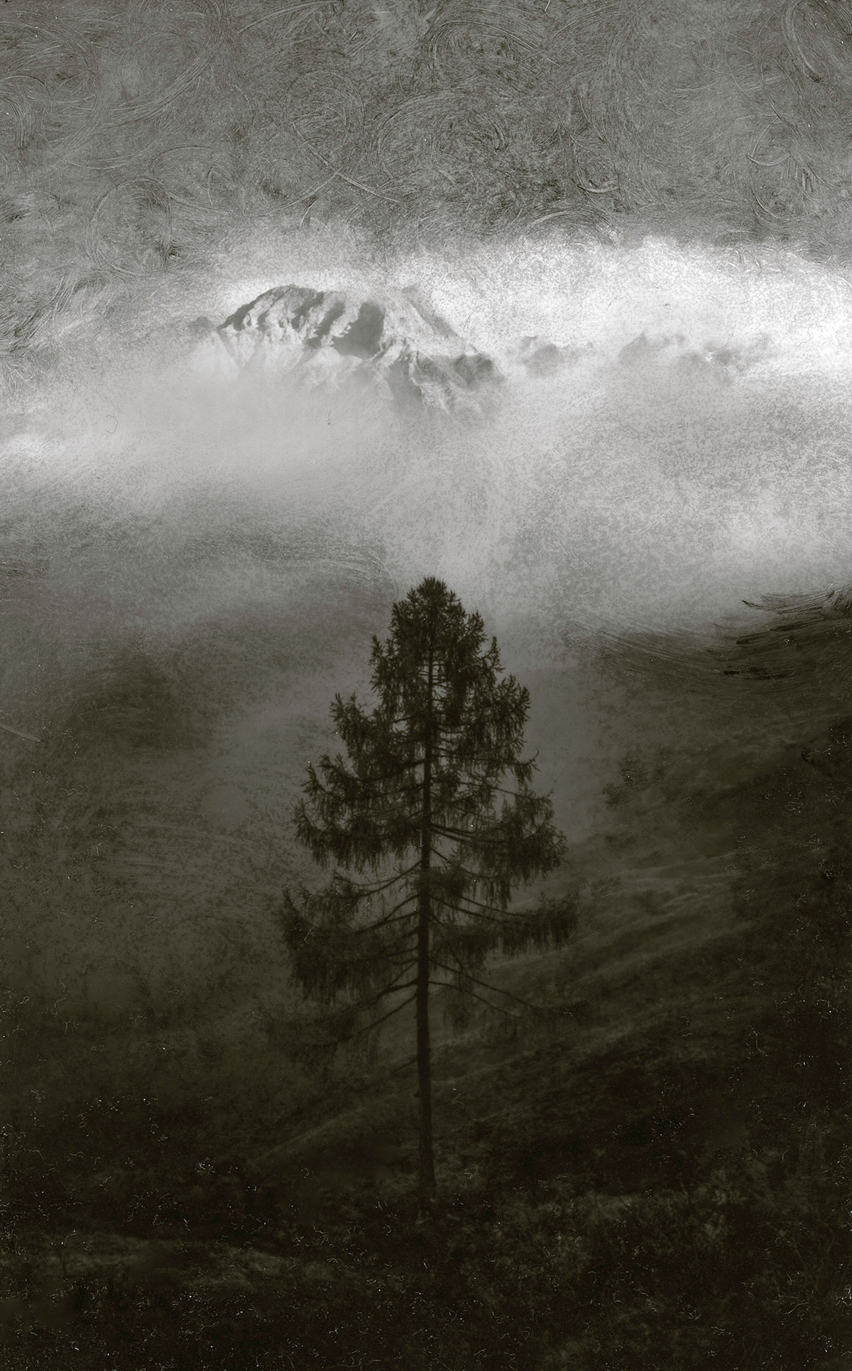 In de schaduw van de nacht