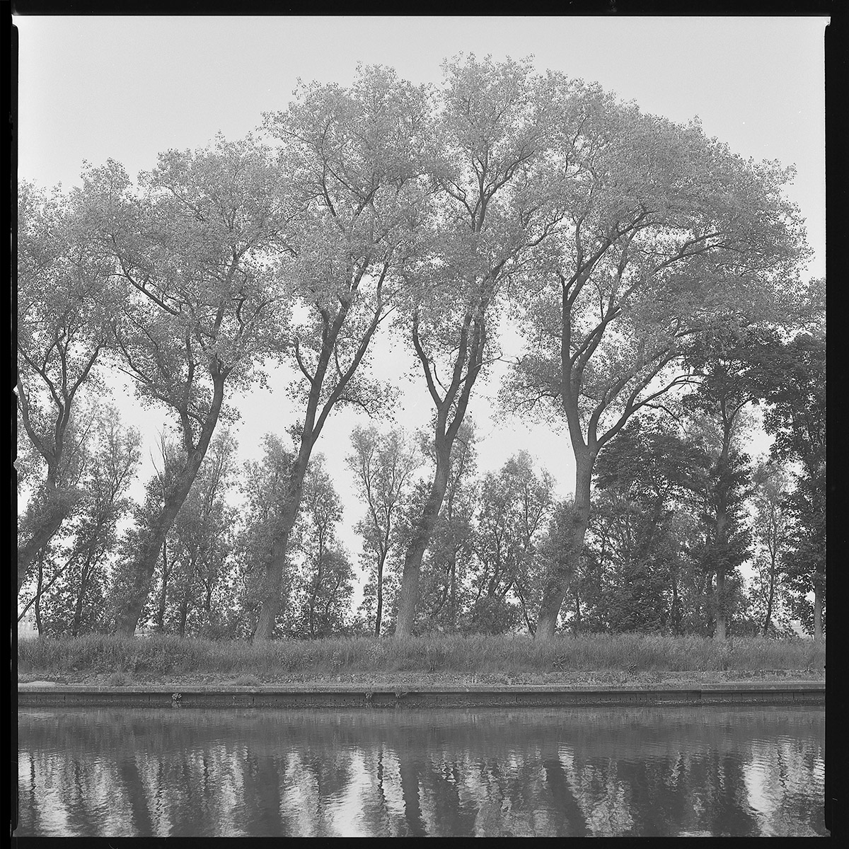 Hugo De Cnodder en Eddy Maus, Voetafdrukken op het jaagpad