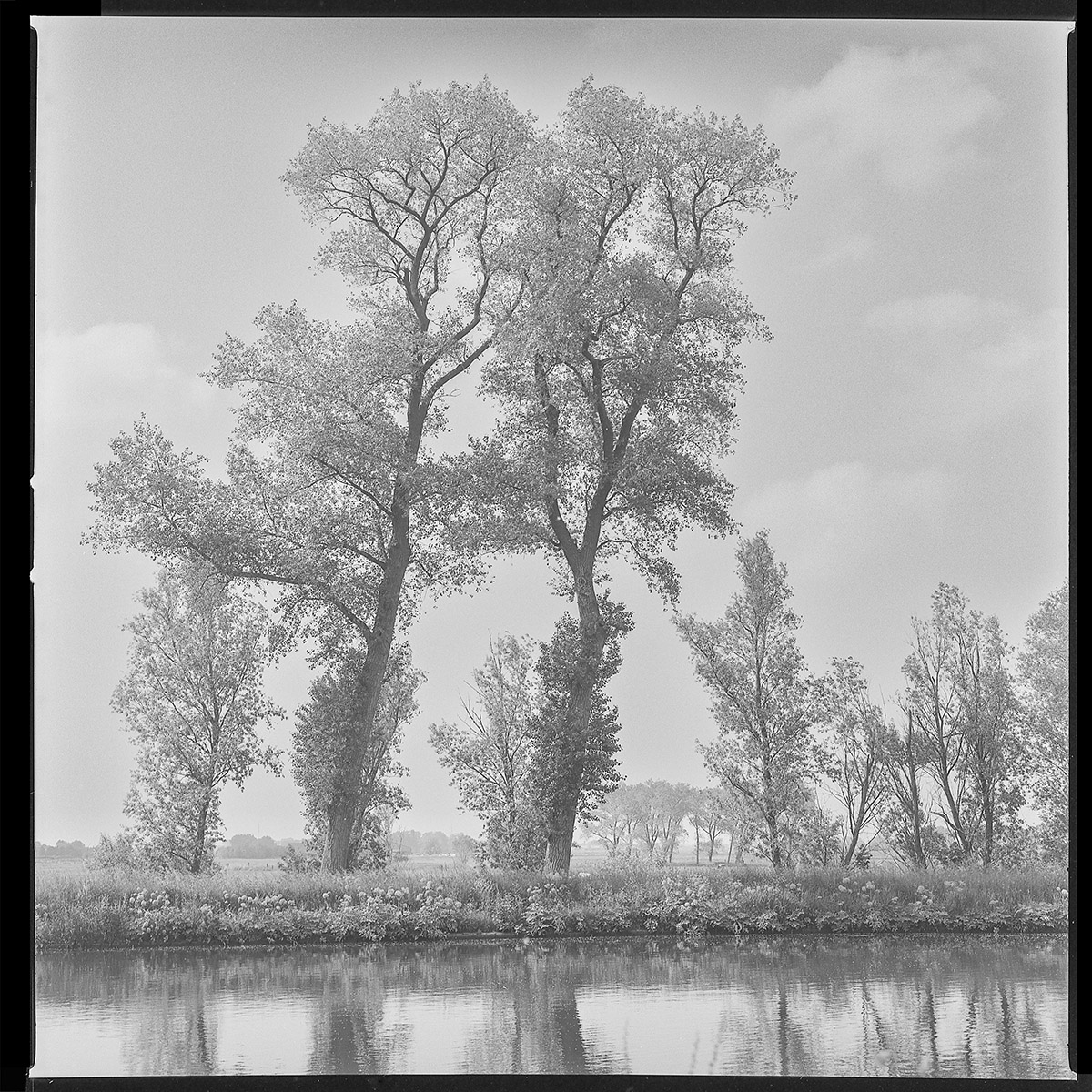 Hugo De Cnodder en Eddy Maus, Voetafdrukken op het jaagpad