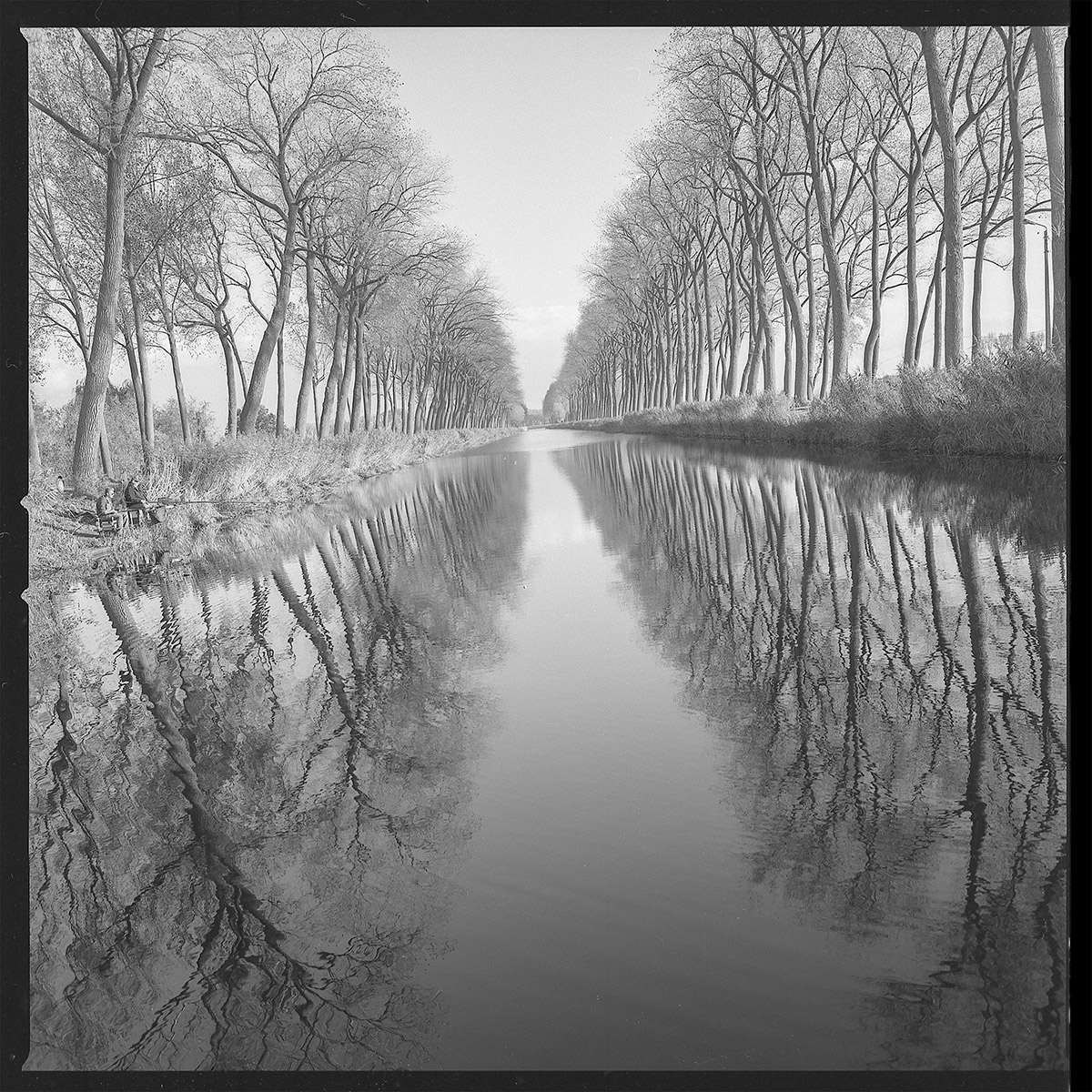 Hugo De Cnodder en Eddy Maus, Voetafdrukken op het jaagpad