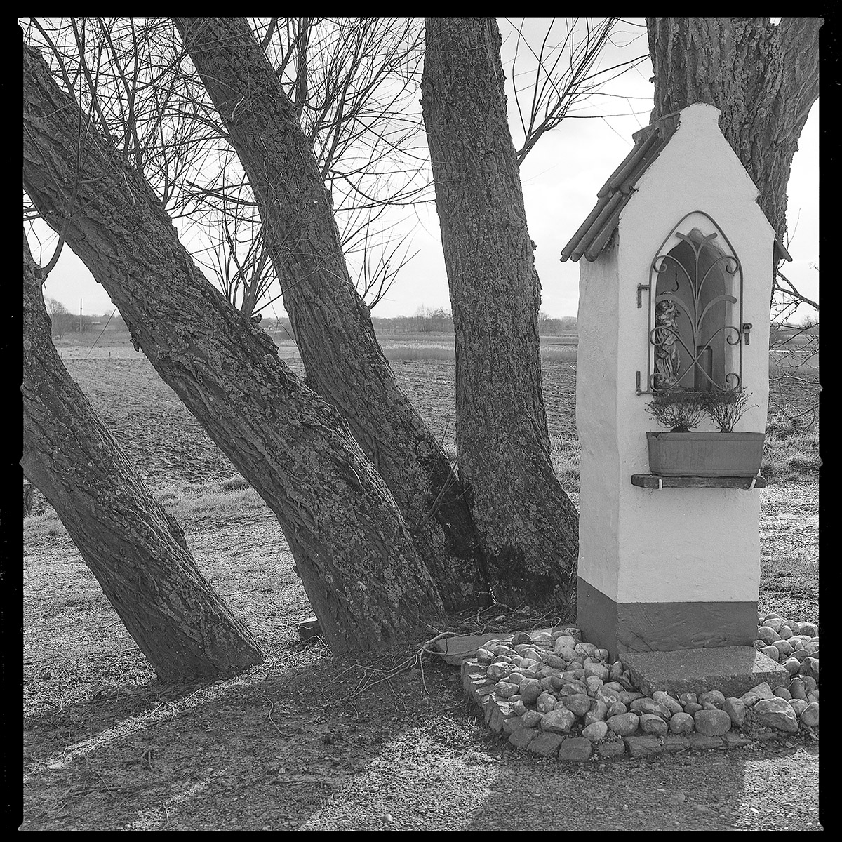 Hugo De Cnodder en Eddy Maus, Voetafdrukken op het jaagpad