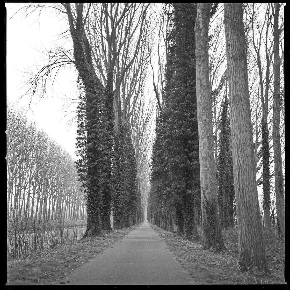 Hugo De Cnodder en Eddy Maus, Voetafdrukken op het jaagpad
