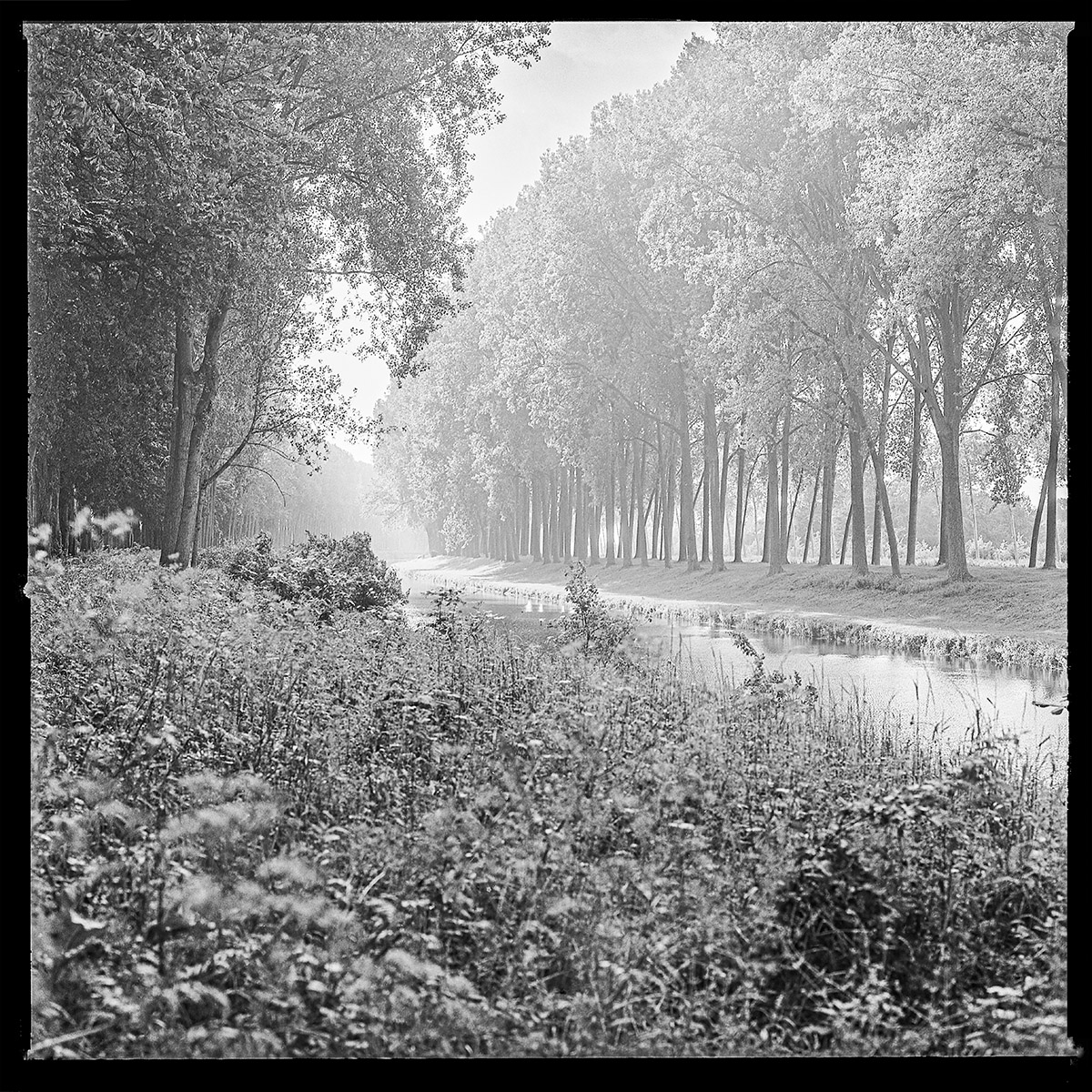 Hugo De Cnodder en Eddy Maus, Voetafdrukken op het jaagpad