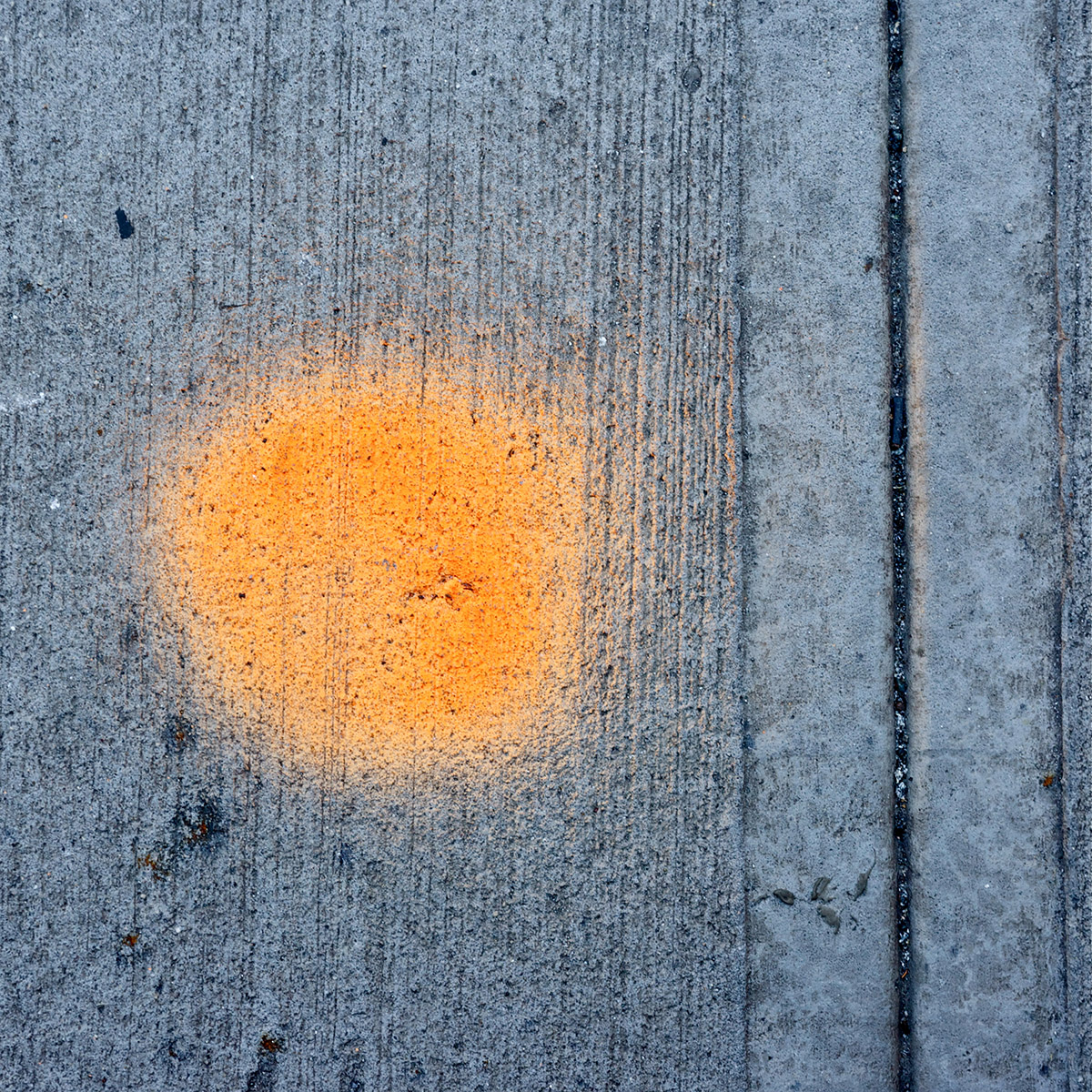 Peter van de Wijngaart, The Knicks, Setting Foot in New York