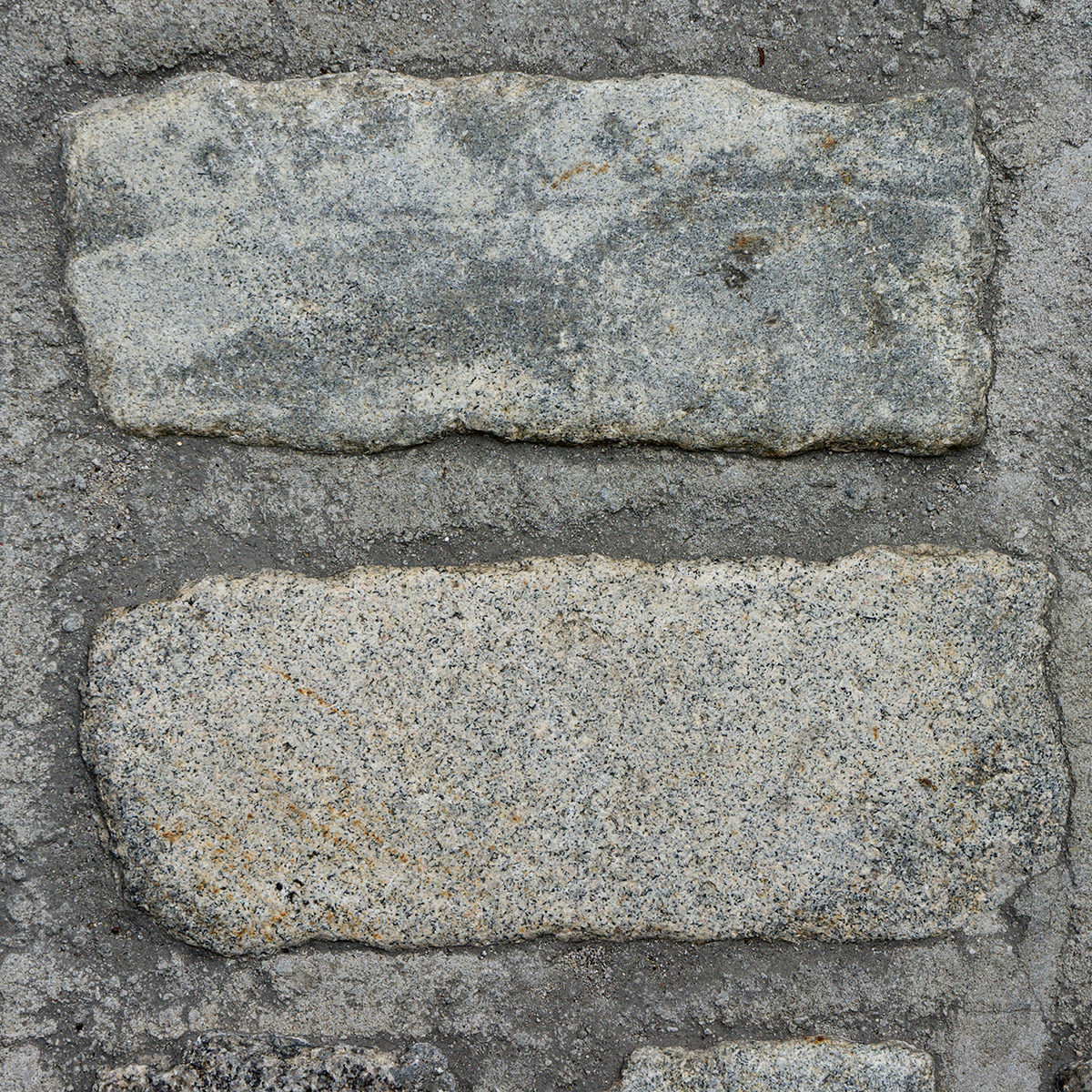 Peter van de Wijngaart, Stuyvesant Highschool, Setting Foot in New York