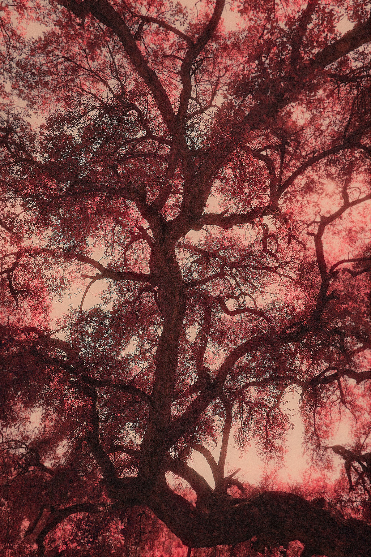 Ici, le temps s'étire (here, where time stretches)