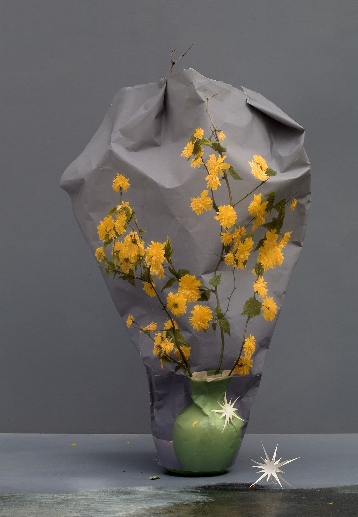 Ilona Plaum, Nr. 10, Sacha, uit de serie Horizon als reproductie, 2009, collectie Huis Marseille