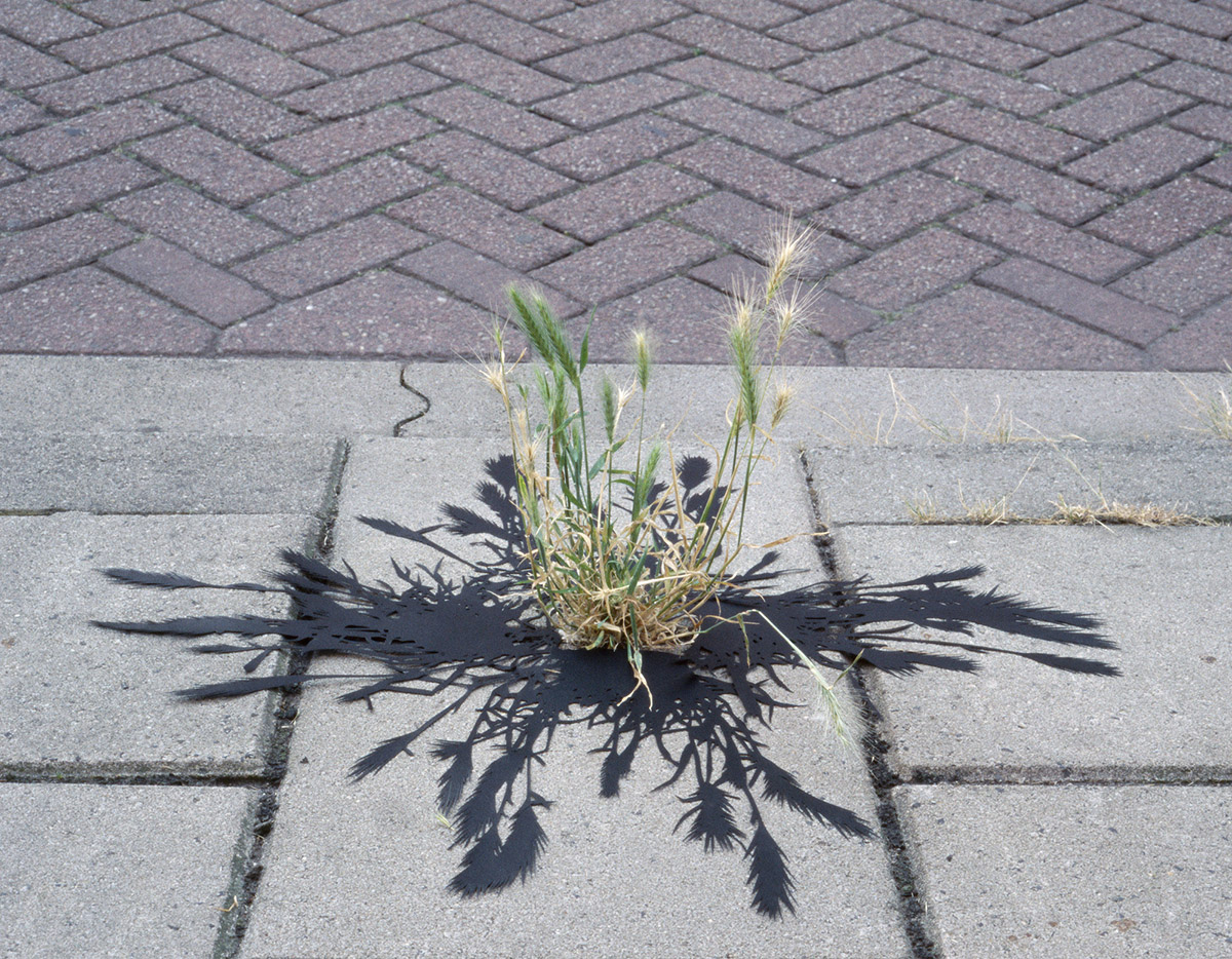 Ilona Plaum, Around one day, 2006
