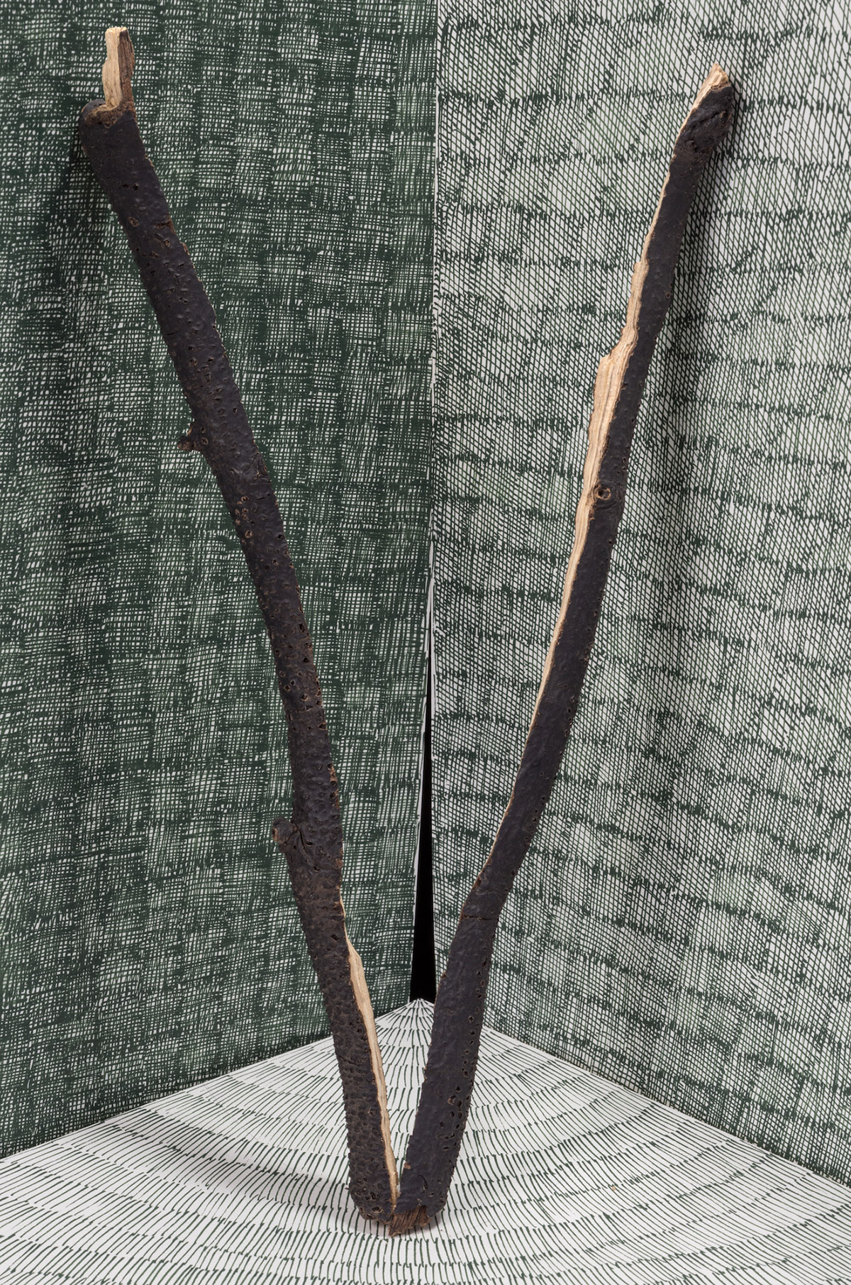 Ilona Plaum, Week 20, 2015