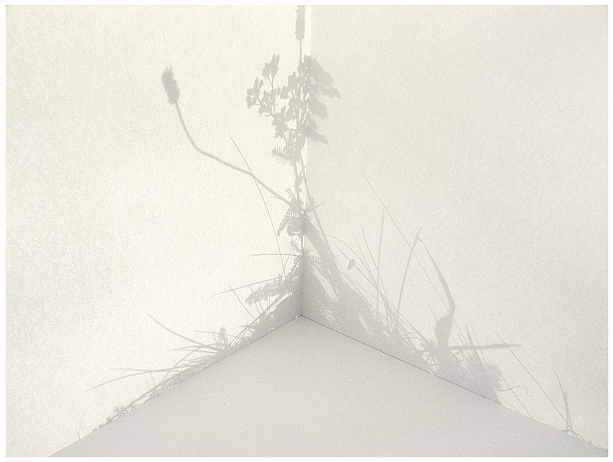 Ilona Plaum, Corner Silhouette, 2005