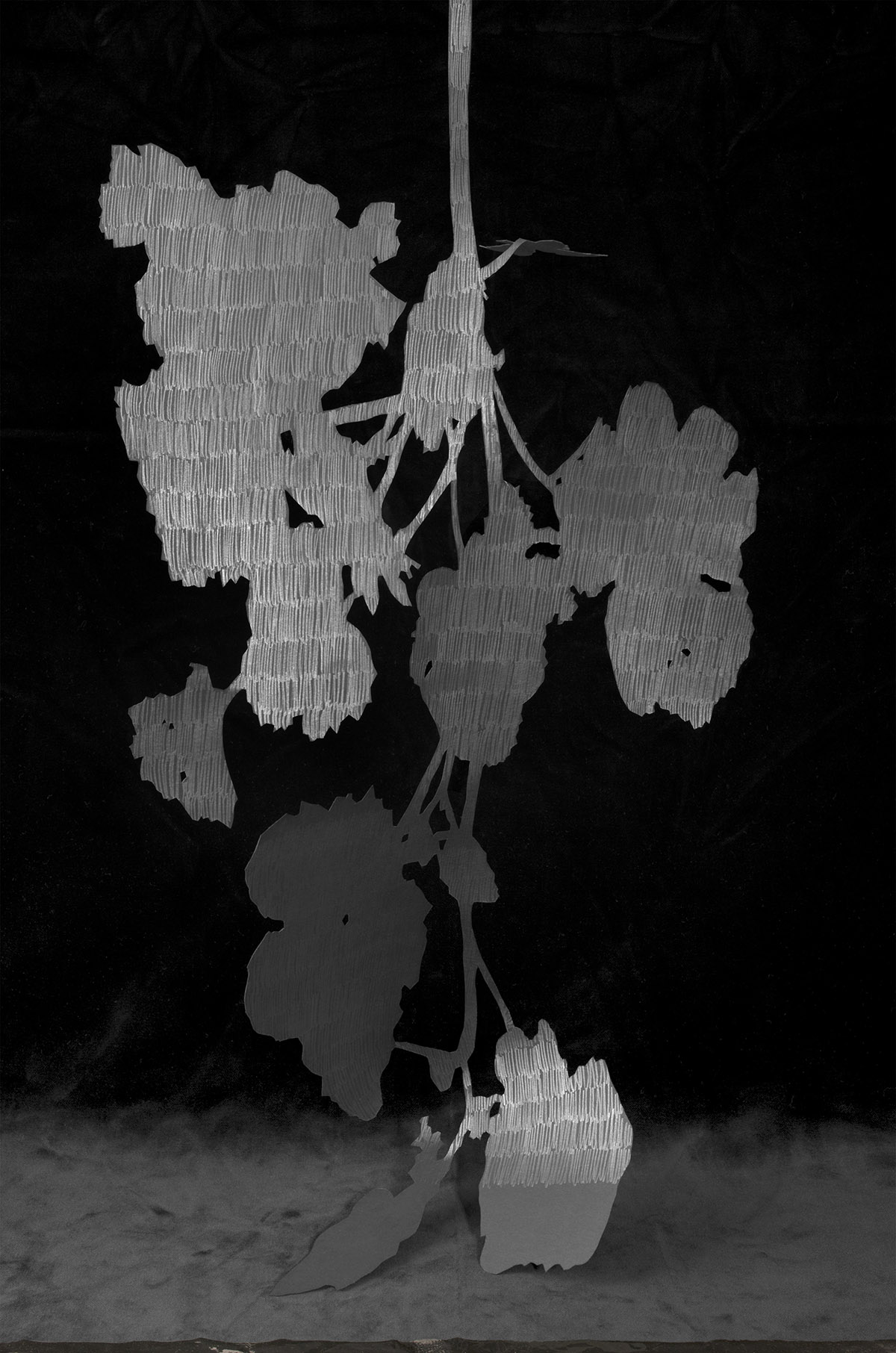 Ilona Plaum, Nightlife of a Shadow, 2014, collectie Huis Marseille