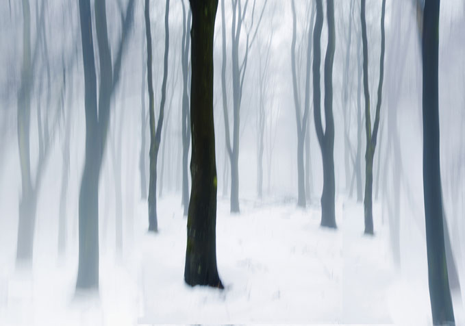 Imca Schoots, You ain't seen me