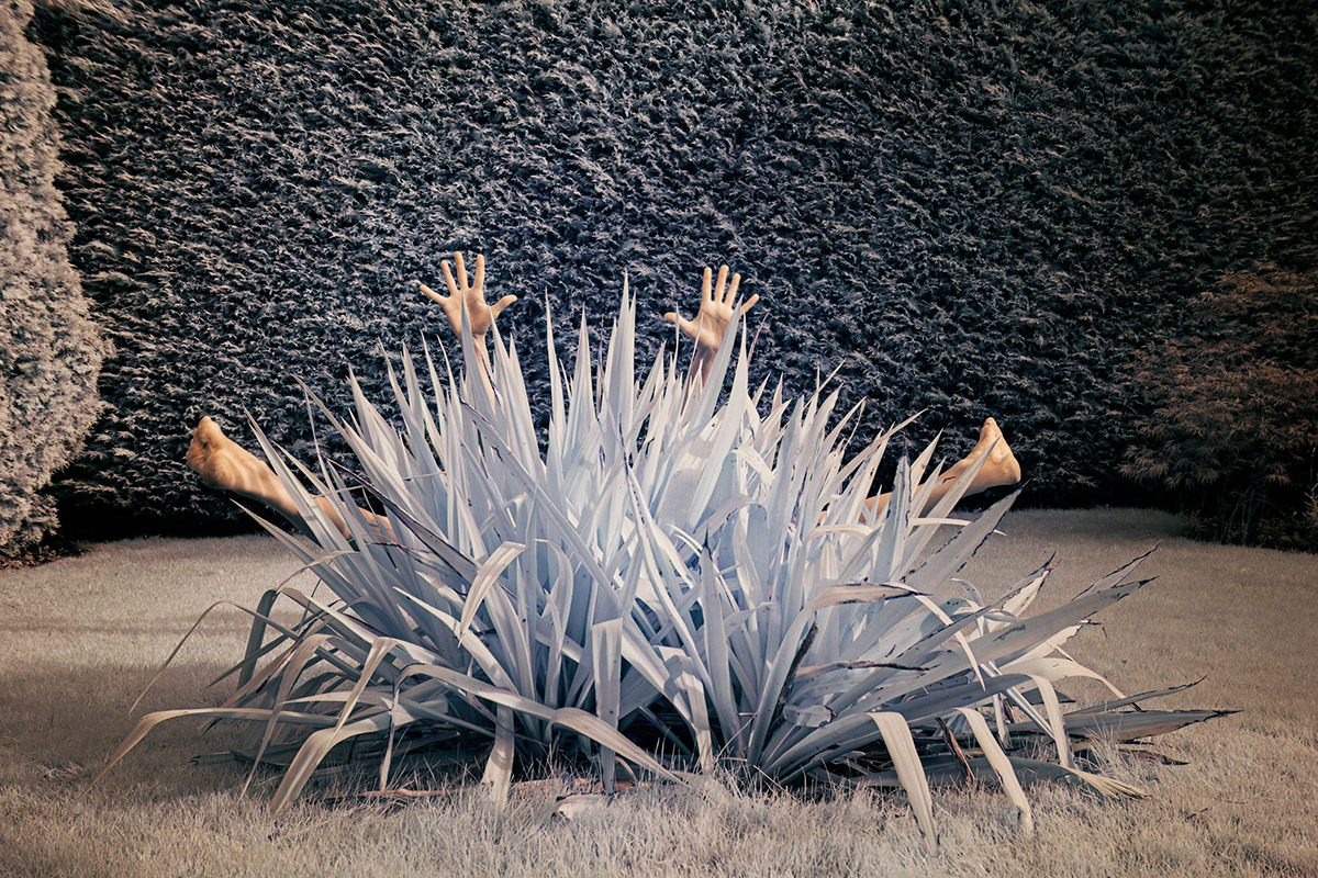 Ariane James, Dagboek