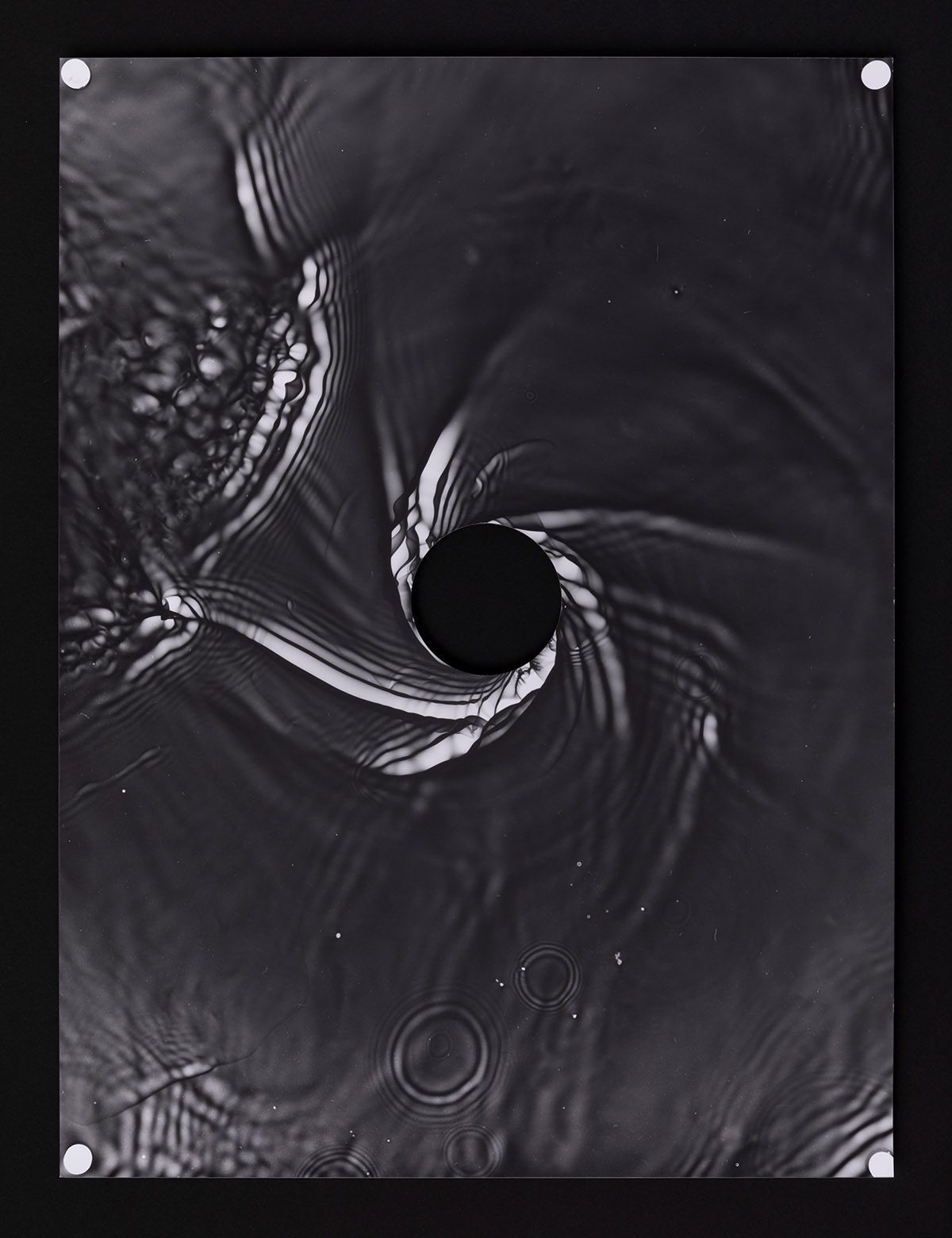 Sjoerd Knibbeler, Untitled, 2023, photogram on baryte paper. 30 x 40 cm, courtesy of the artist