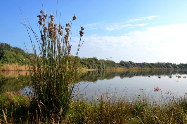 Aan het Grevelingenmeer