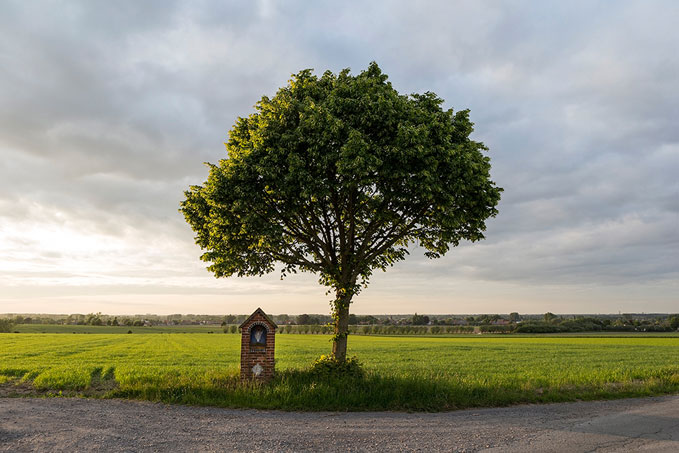 Janet Vermist, De Ronde
