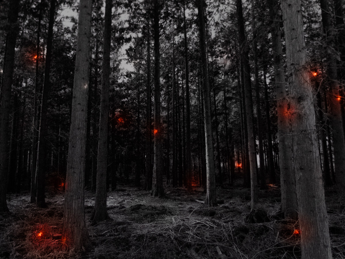 I know this much is true