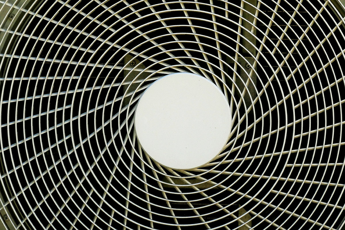 Joni spaan, To the beach