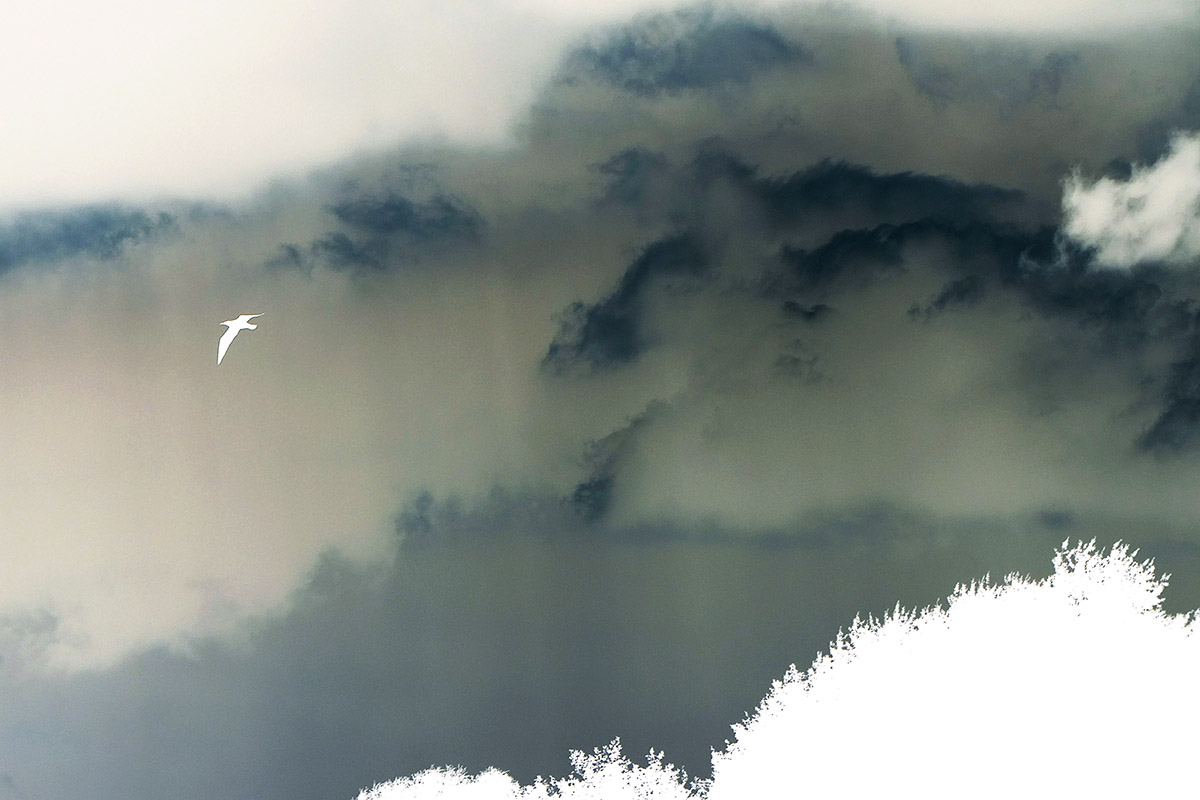 Joni spaan, To the beach