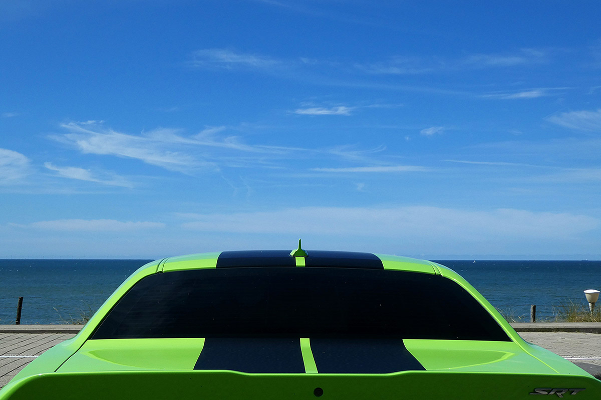 Joni spaan, To the beach