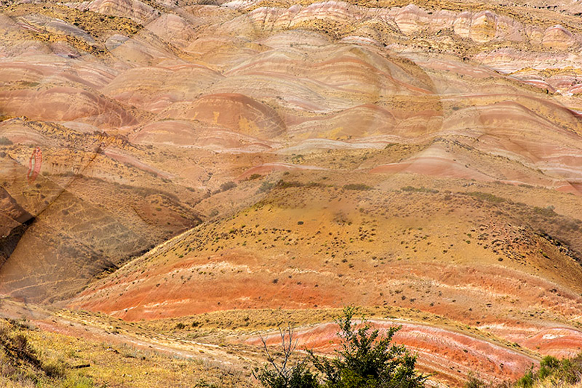 Roel Burgler, Bodyscape #41, fotopapier op dibond, 60x90x1 cm