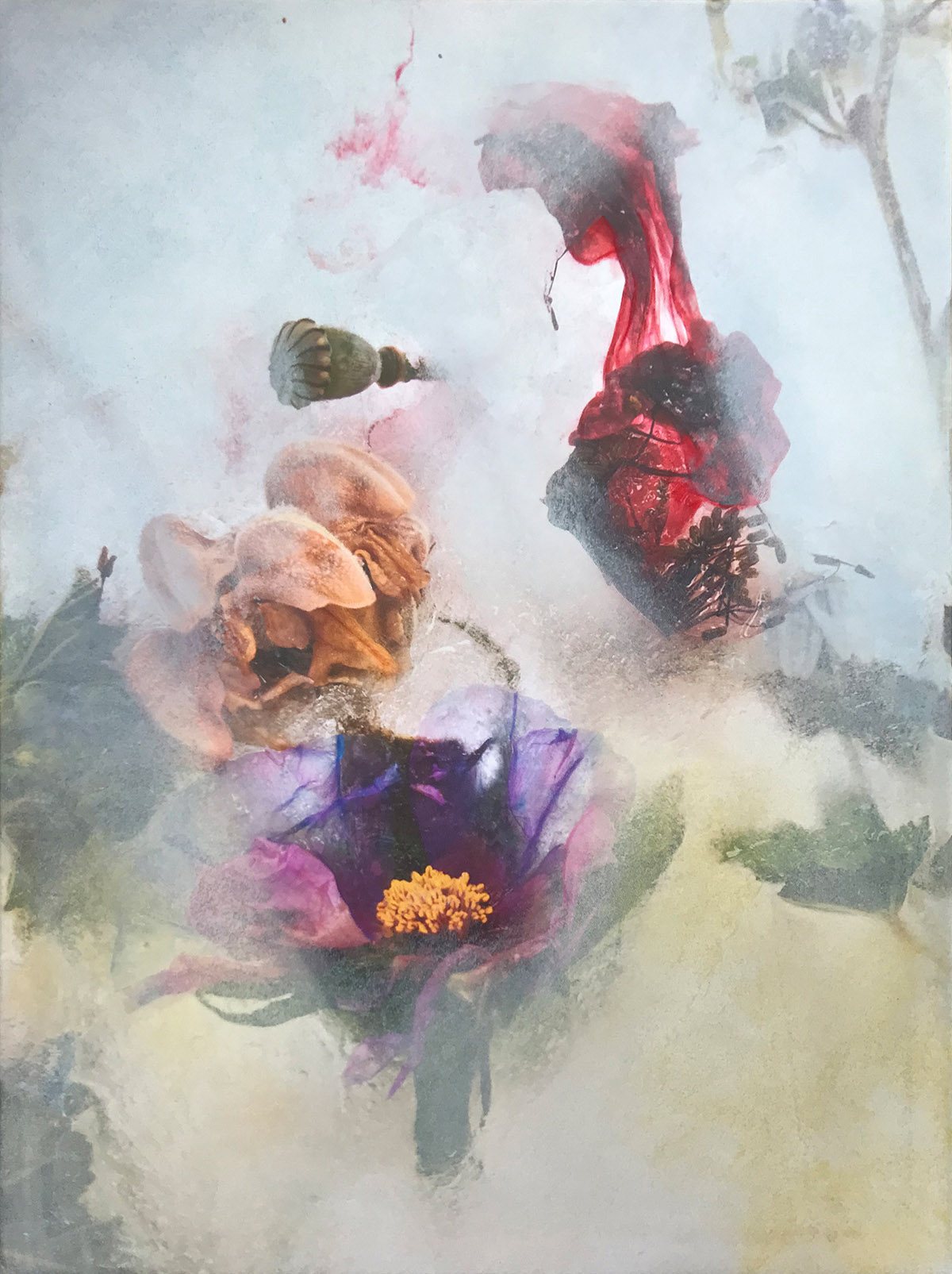 Ems Willems, Amapola, 80x60, mixed media