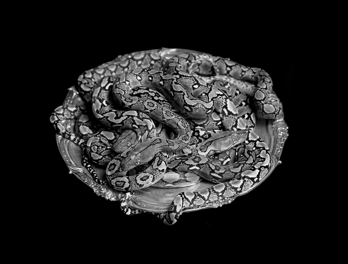 Juul Kraijer,  Z.t., 2016-2019, archival pigment print op Hahnemühle Museum Etching